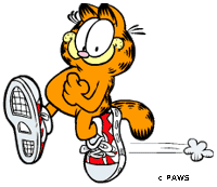 Garfield-Run